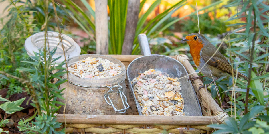 Ark Hearty™ Bird Food