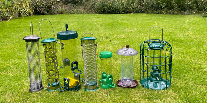 How to thoroughly clean bird feeders