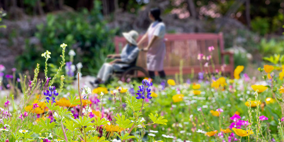 A sensory garden with patient and nurse attending