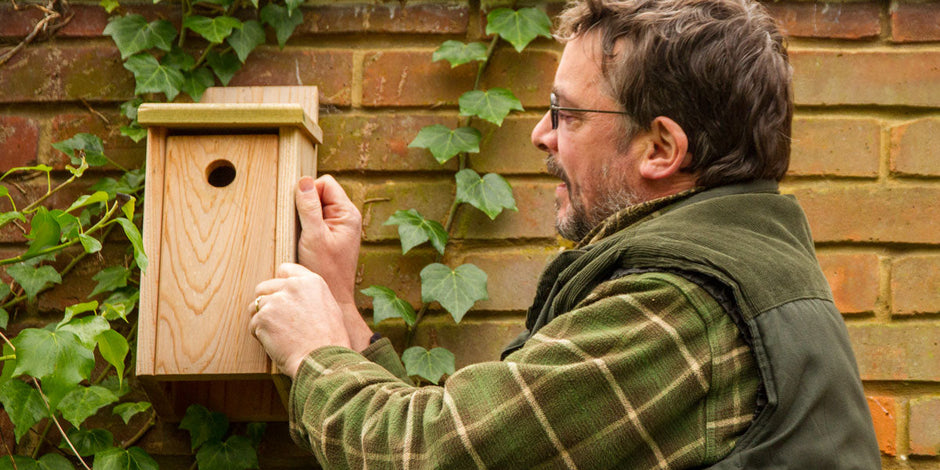 Where to site bird nest boxes