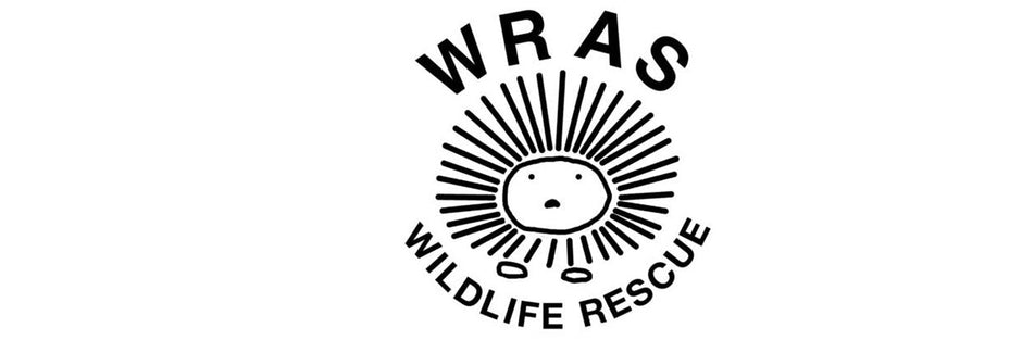 WRAS Logo