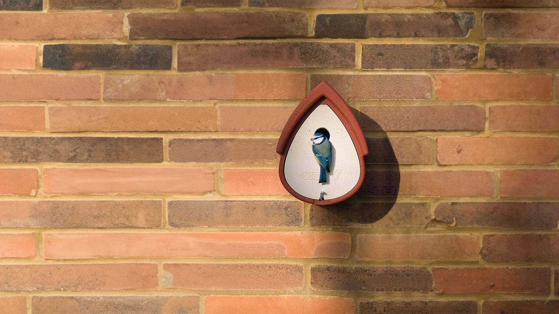 A Schwegler bird nest box on brick wall