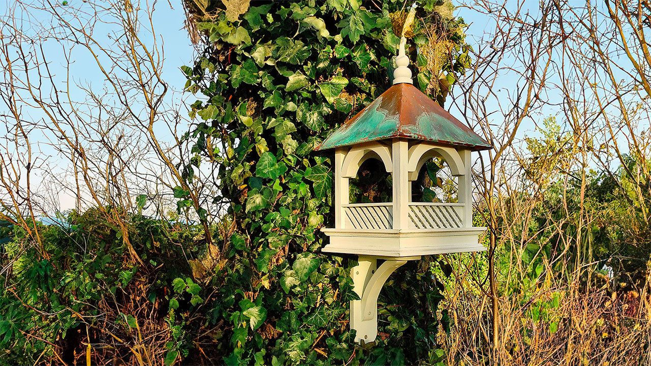 A rustic bird table fixed to a mossy tree trunk