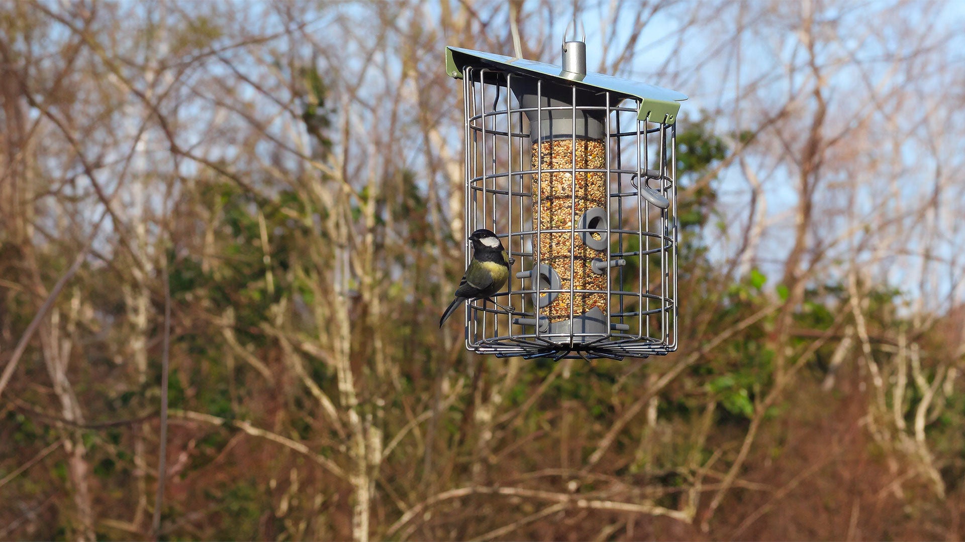 Silver caged bird feeder