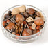 Red Squirrel Food; Ark Red Squirrel Food; Ark Red Squirrel Food; Ark Red Squirrel Food