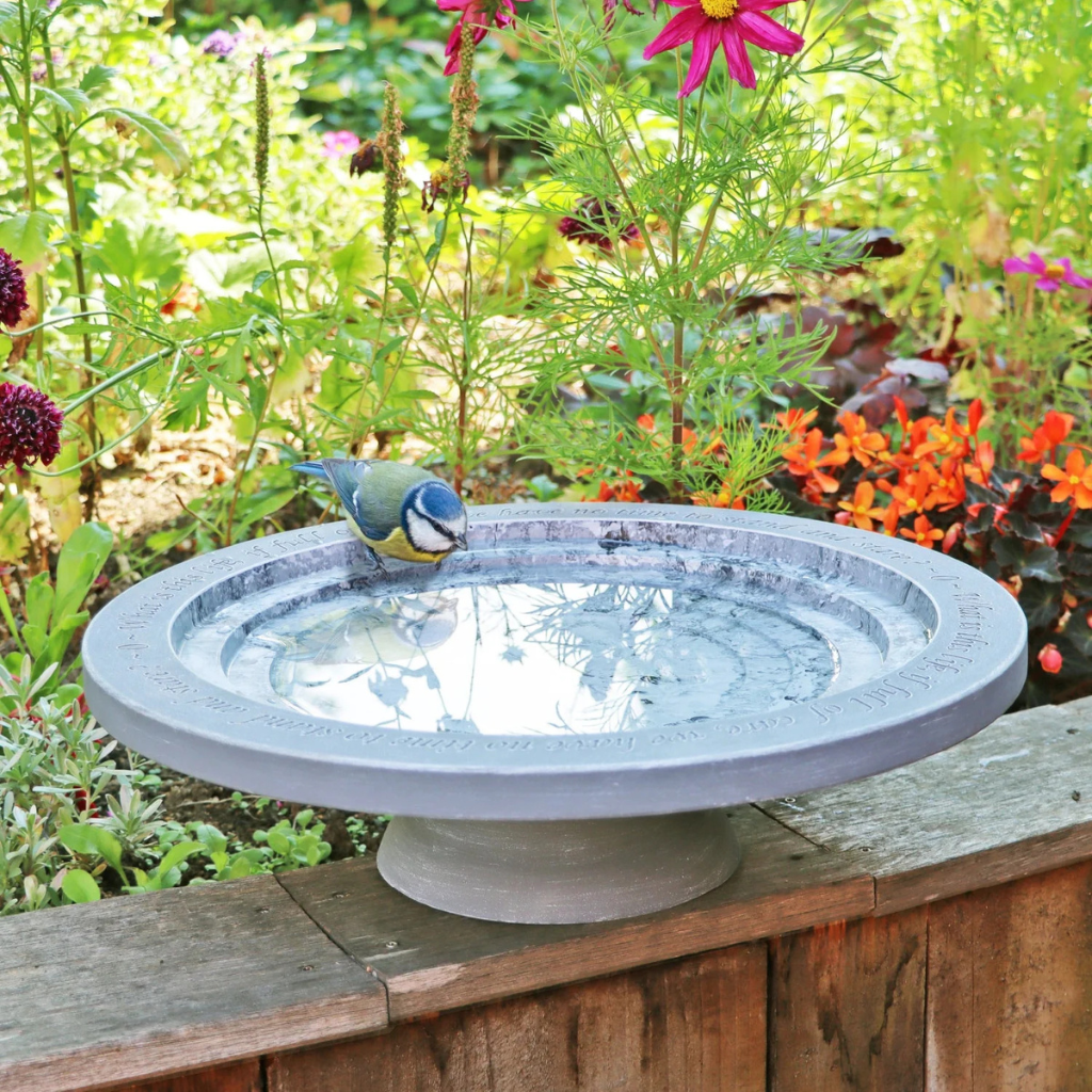 bird bath for small birds