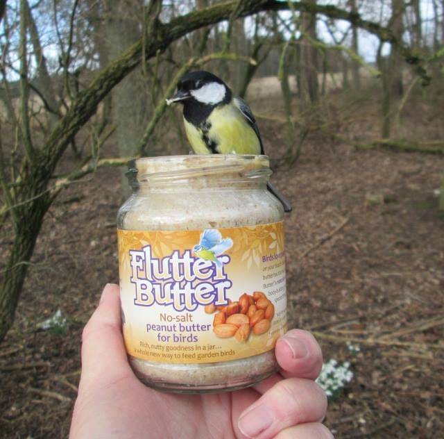 Flutter Butter - Peanut butter for birds; C Webster demonstrates how much birds love Flutter Butter; Peanut Butter Feeder; Optional Flutter Butter Feeder