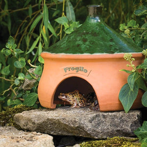 Tadpole to Frog Growing Kit; Frogilo Frog House; Guide to Keeping Tadpoles; Tadpole Food