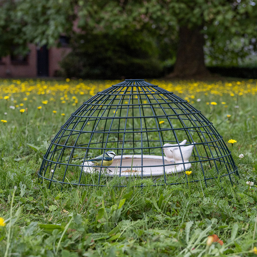 cage for ground feeding birds