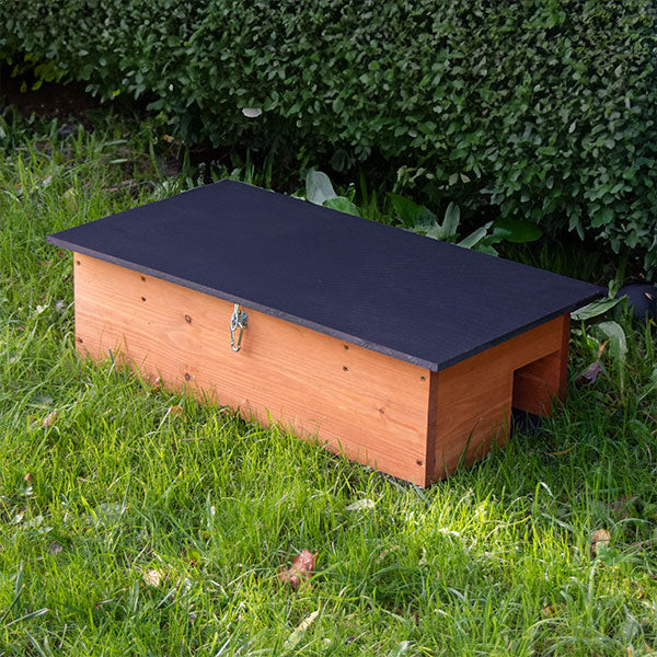 Hedgehog Feeding station in the garden