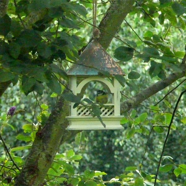 Bempton Hanging Bird Table; Blue tits feeding from the Bempton Hanging Bird Table; Siting a Bempton Hanging Bird Table; Robin feeding from a Bempton Hanging Bird Table