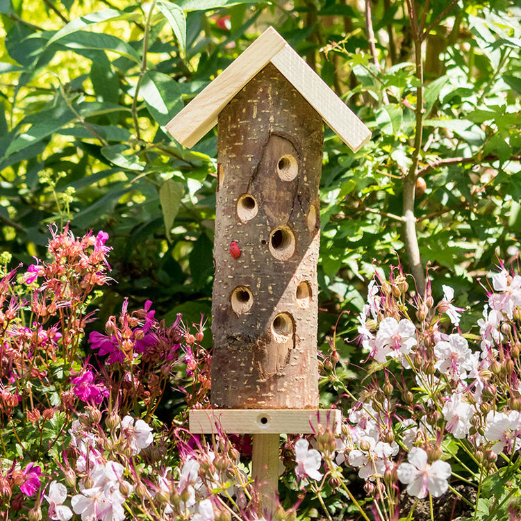 ladybug house