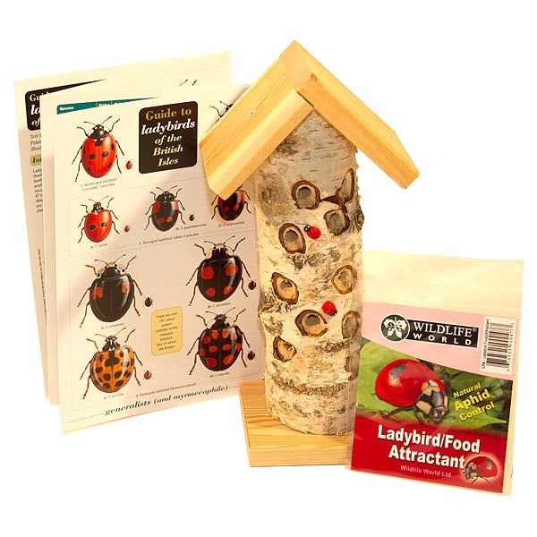 Ladybird Tower, Ladybird Food and guide; Ladybird Lovers Pack; Ladybird Lovers Pack; Siting a Ladybird/Beneficial Insect Tower with Pole