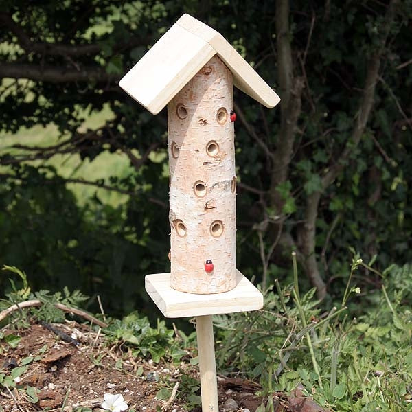 Ladybird Tower, Ladybird Food and guide; Ladybird Lovers Pack; Ladybird Lovers Pack; Siting a Ladybird/Beneficial Insect Tower with Pole