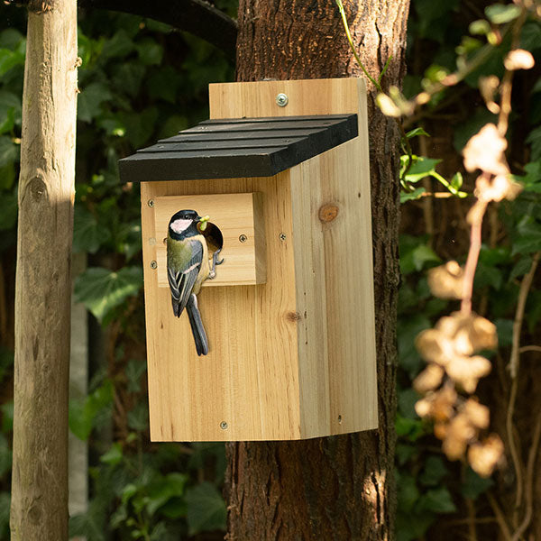 Nest box Brandaris 2024