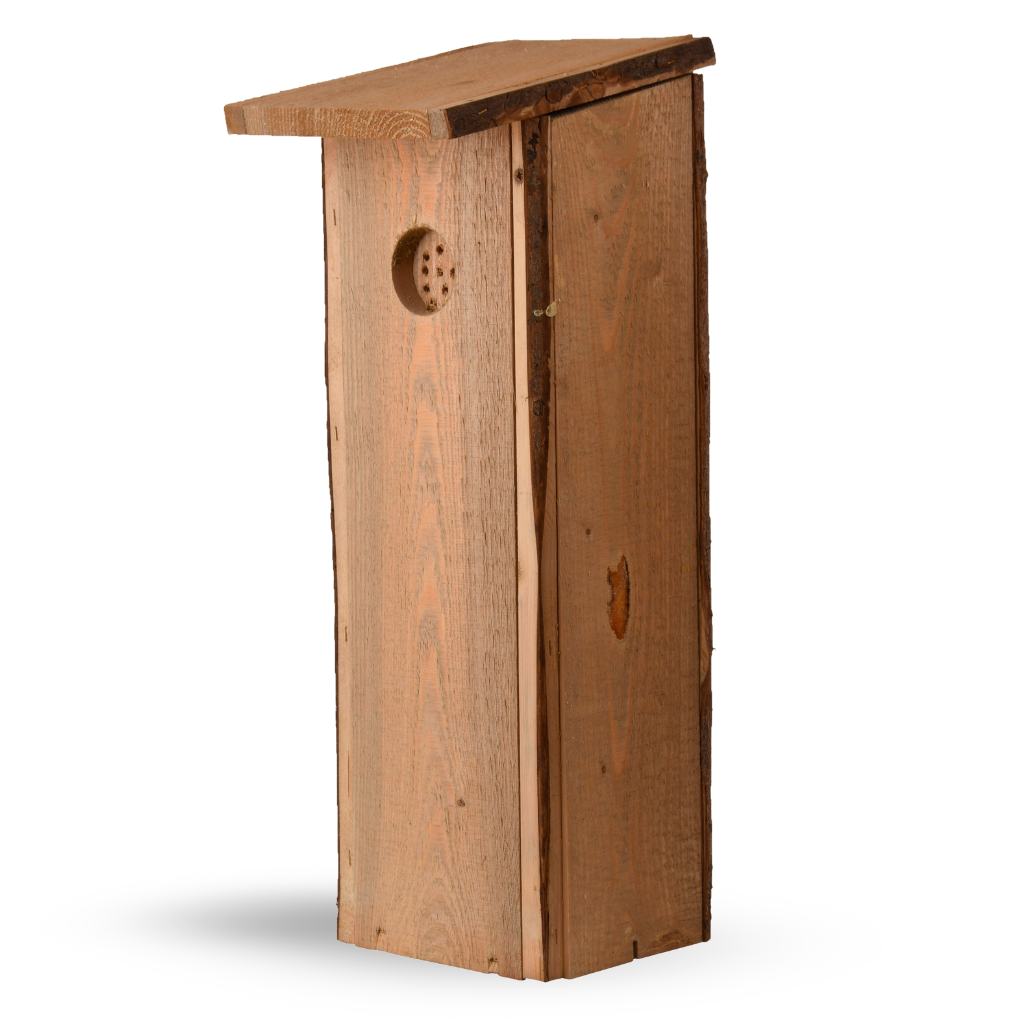 woodpecker nest box with pilot hole