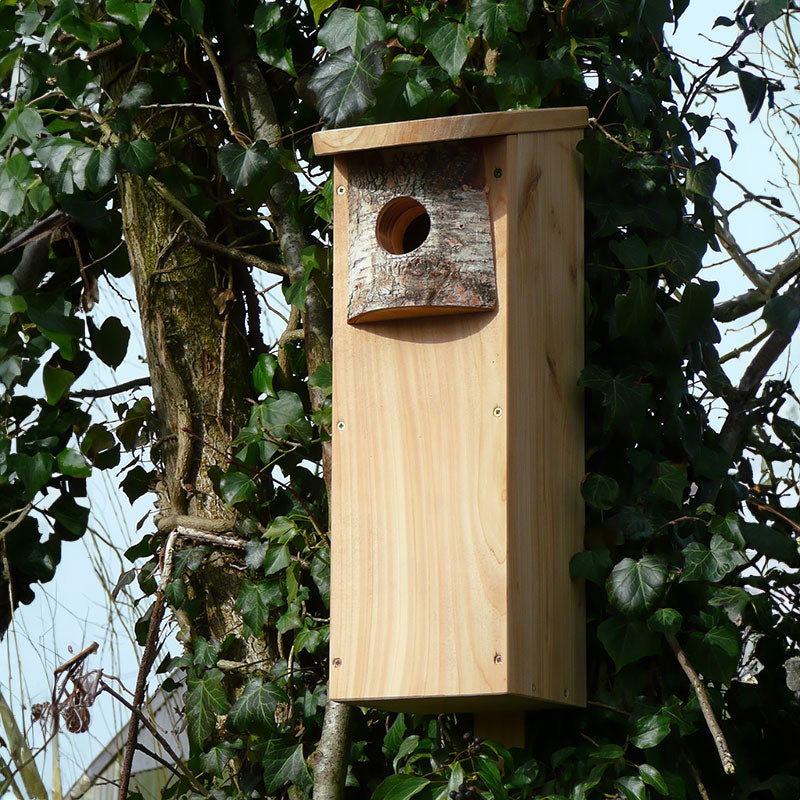 woodpecker nest box