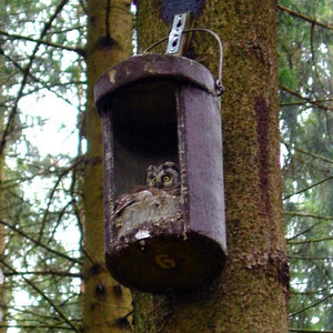 Schwegler No. 4 Owl Nest Box;Schwegler No. 4 Owl Nestbox (small Hole)