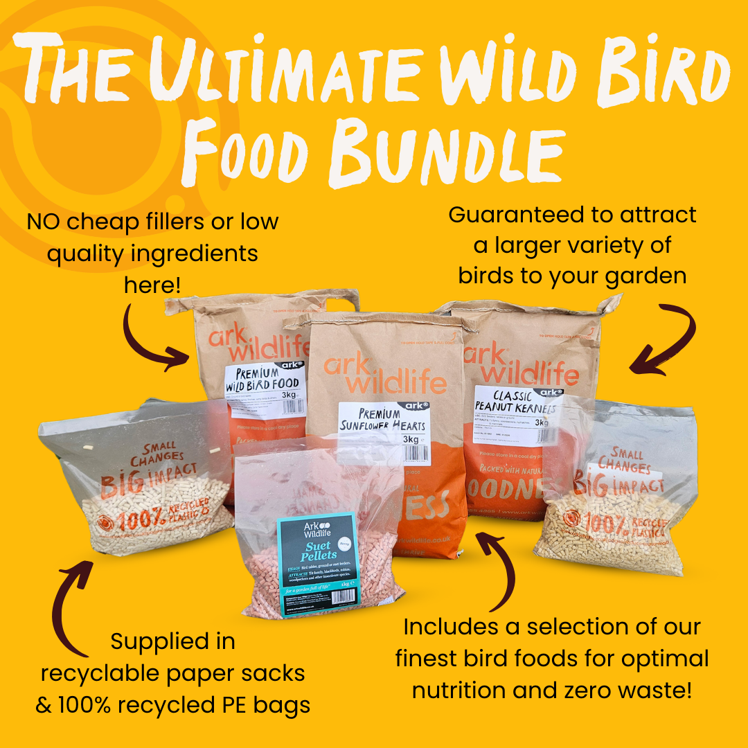 Ultimate Wild Bird Food Bundle