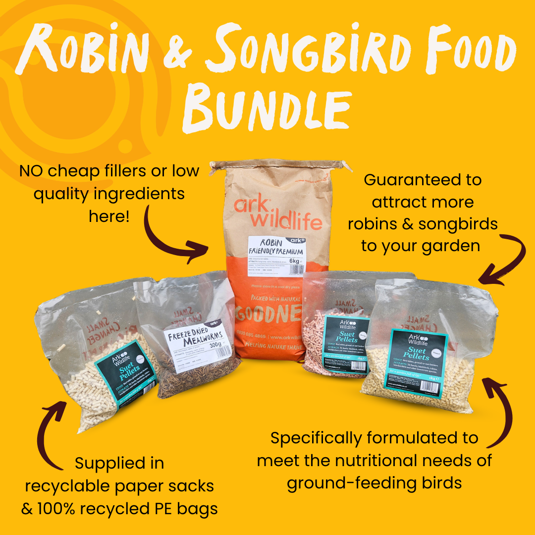 Robin & Songbird Food Bundle