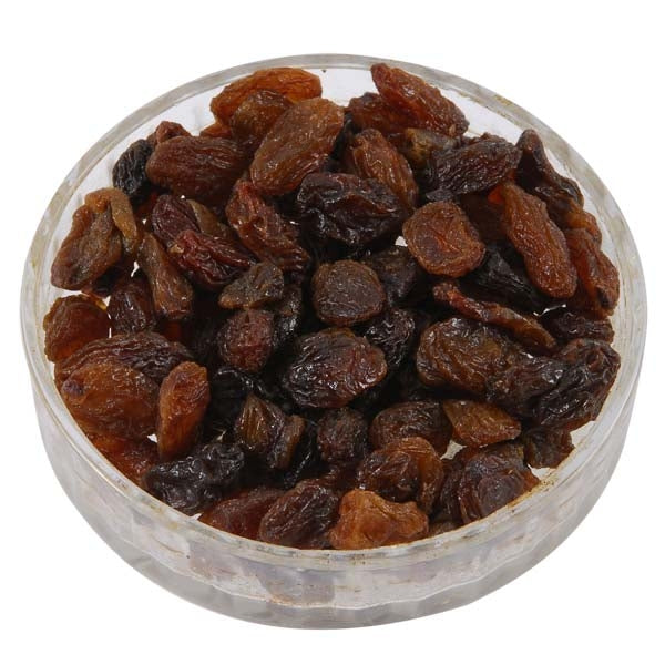 Small Raisins and Sultanas; Black bird feeding on Small Raisins and Sultanas