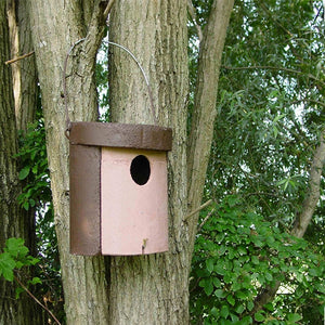 Schwegler 1CGA nest box;Schwegler 1CGA nest box