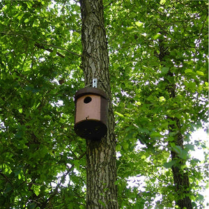 Schwegler 1CGA nest box;Schwegler 1CGA nest box