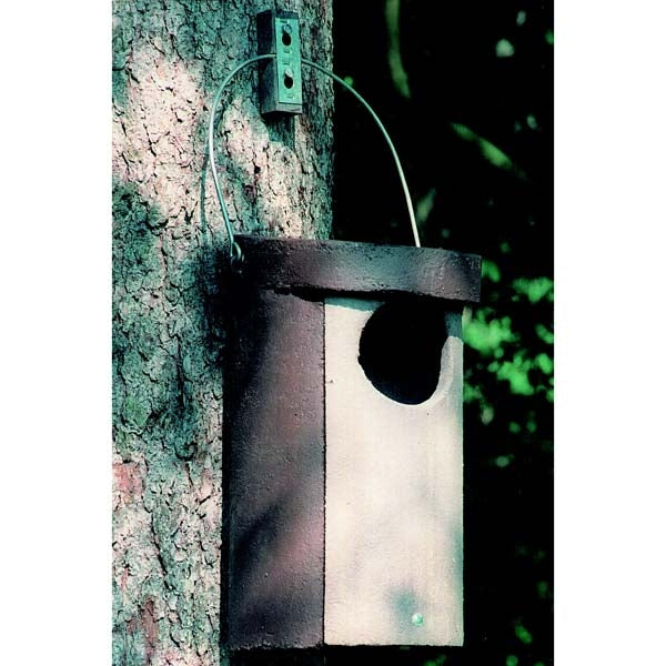 Schwegler No. 5 Owl Box<br>Ideal Tawny Owls, Doves and Jackdaws;Tawny Owl Nesting in Schwegler Owl Nest Box