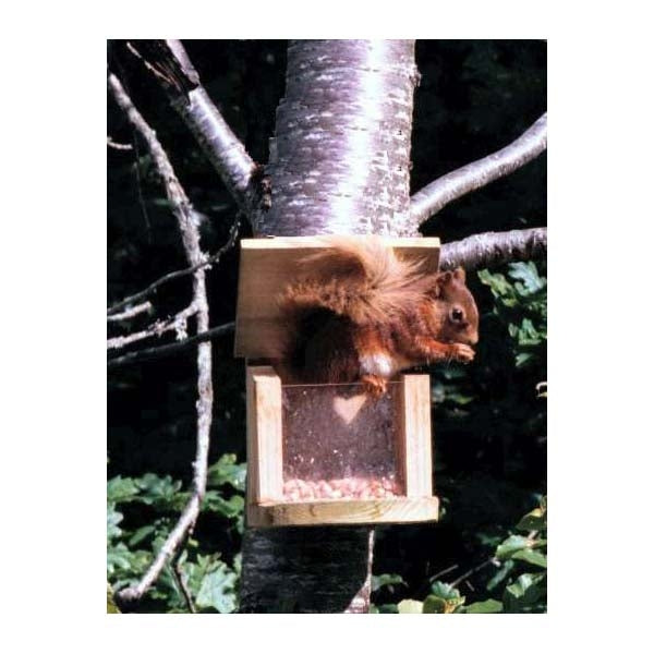 Squirrel Feeder with flip top; Red Squirrel on a Flip Top Heavy Duty Squirrel Feeder; Flip Top Heavy Duty Squirrel Feeder