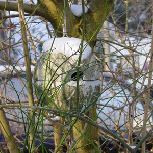 Schwegler 1ZA Wren roundhouse;Wren nesting;Wren Nest Box