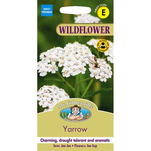 Yarrow Seeds;Yarrow Seed Instructions