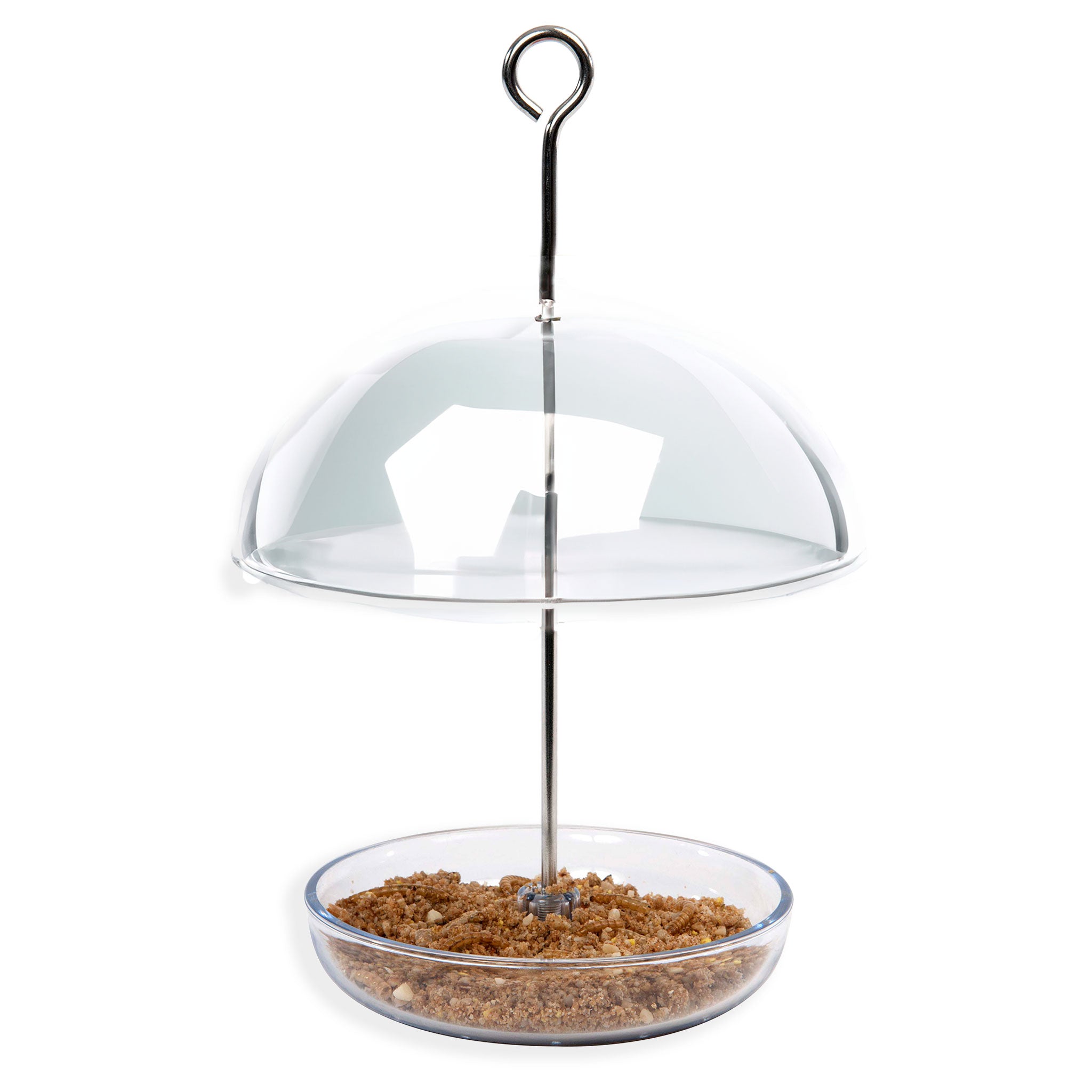 clear domed robin feeder