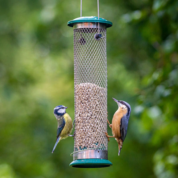 All Weather unflower Heart Feeder; All weather sunflower heart feeder