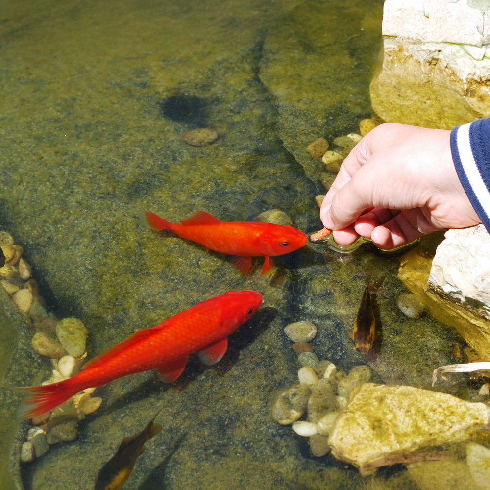 Natural Goldfish Food 