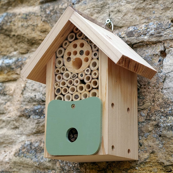 Bug & Bee Barn; Solitary bee house insect habitat; class=lazyload lazy-hidden img-responsive" data-src="https://img.youtube.com/vi/ELaLSBXtAgs/0.jpg">