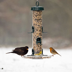 Feeder Base Tray for Big Easy; Robin sitting down for a feed; Blackbird and Robin visting the Big Easy feeder