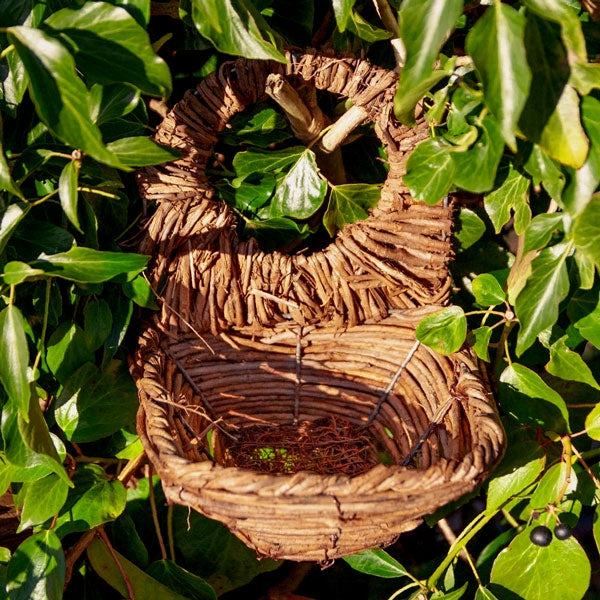 Blackbird Nester Bowl