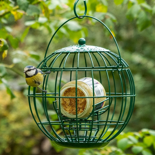 Peanut Butter Guardian Feeder; Flutter butter guardian feeder; Caged suet peanut butter feeder