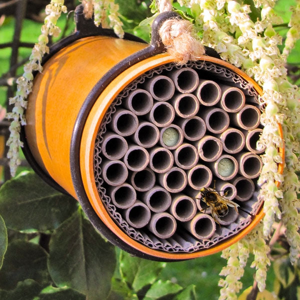 Eco Bee Nester; Wildlife World Eco Bee Nester; Eco Solitary Bee House; Eco Bee Nester leafcutter bees