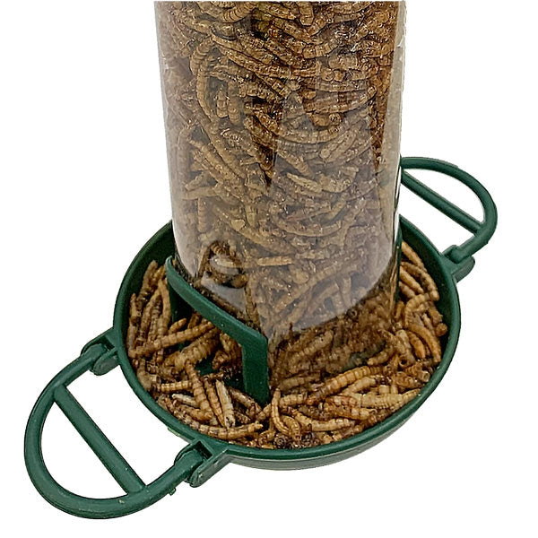 Flip Top Mealworm & Suet Pellet Feeder; Flip Top Mealworm Feeder