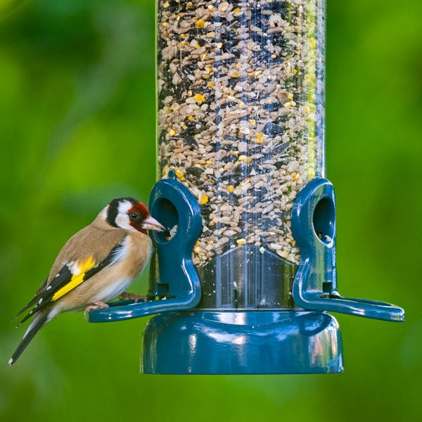 Flo Festival Seed Feeder Range; Flo Festival Seed Feeder with goldfinch; Flo Festival Seed Feeder with greenfinch; Flo Festival Seed Feeder with garden