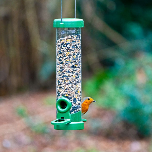 FLO Seed Feeders for Birds; FLO Seed feeder easy clean; Robin feeding from FLO seed feeder; FLO Seed Feeder Standard