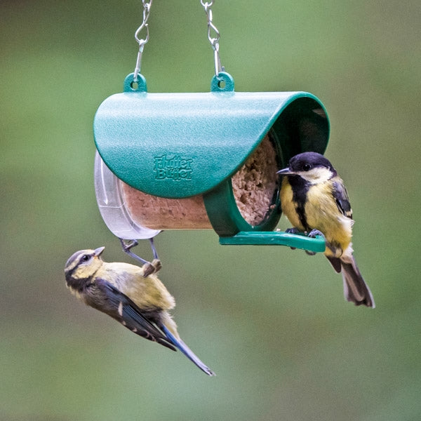 Flutter Butter Refills Buggy; Flutter Butter Pod Refills 80% less plastic; Peanut Butter for Birds; Woodpecker enjoing salt free peanut butter