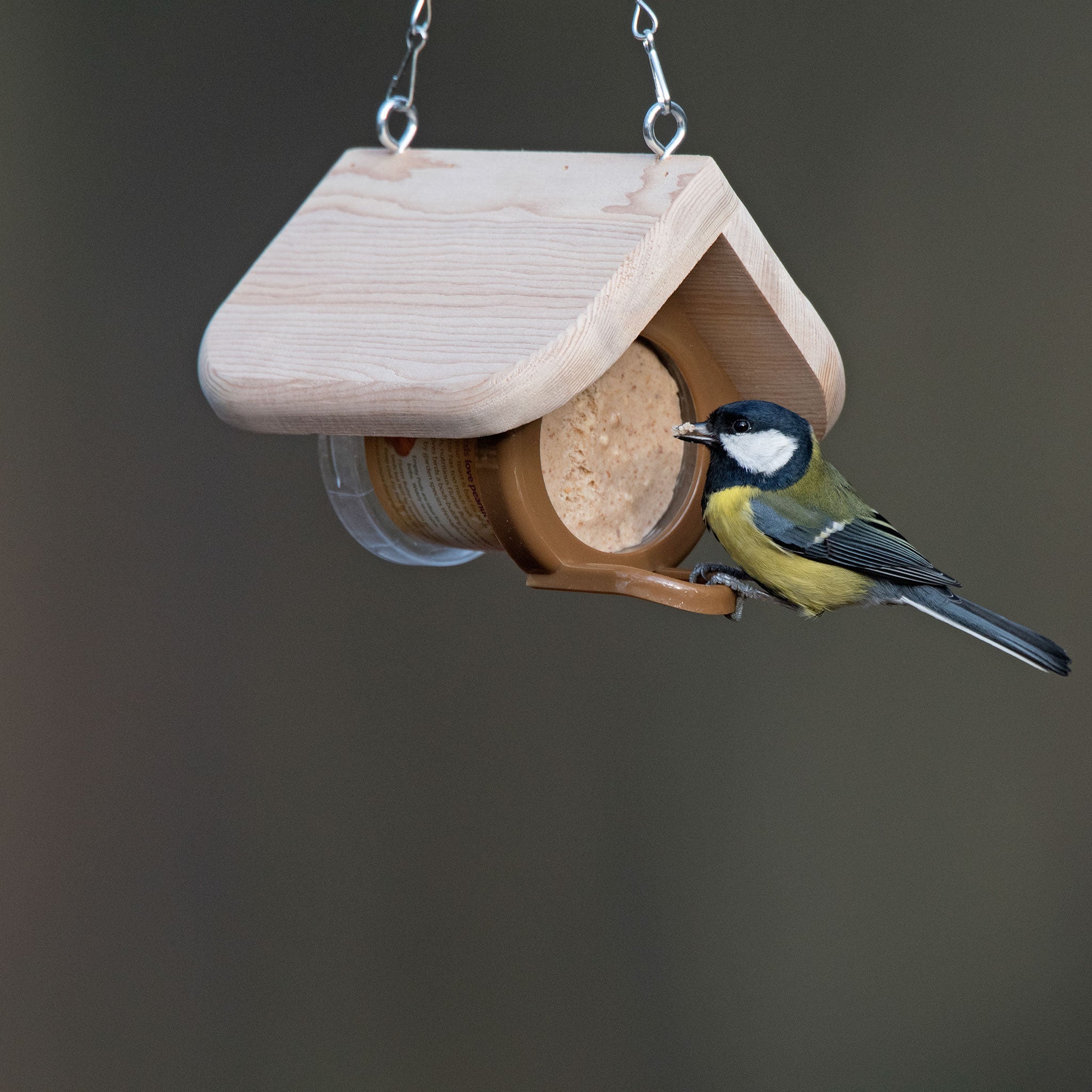 A flutter peanut butter pod in hanging holder