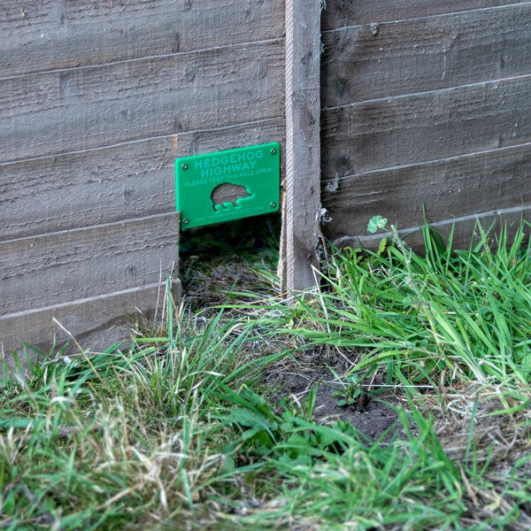 Hedgehog Highway Sign; Hedgehog Highway; Hedgehog Gap in gravel board fence; Hedgehog Highway Sign