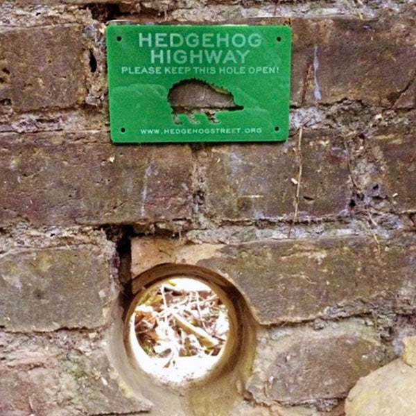 Hedgehog Highway Sign; Hedgehog Highway; Hedgehog Gap in gravel board fence; Hedgehog Highway Sign