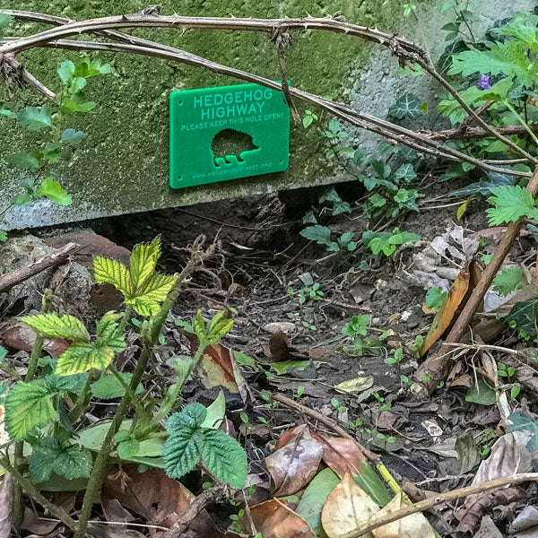 Hedgehog Highway Sign; Hedgehog Highway; Hedgehog Gap in gravel board fence; Hedgehog Highway Sign