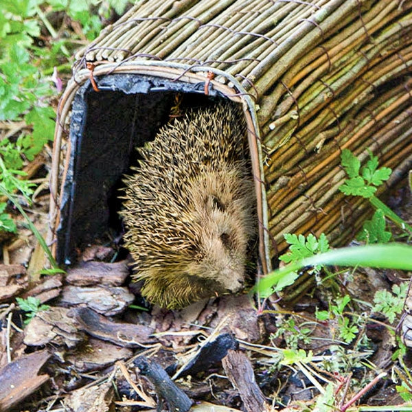 Hedgehog Retreat; Hedgehog Retreat; Hedgehog Retreat Safe Steel Construction; Wildlife World Hedgehog Retreat