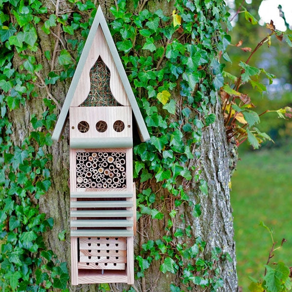 Insect Study Centre; Insect Study Centre; Insect Conservation Centre; Insect Conservation Centre