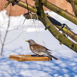 Ark Insectivore Food; Hedgehogs eating Ark Insectivore Food; Fieldfare eating Ark Insectivore Food; Nuthatch eating Ark Insectivore Food